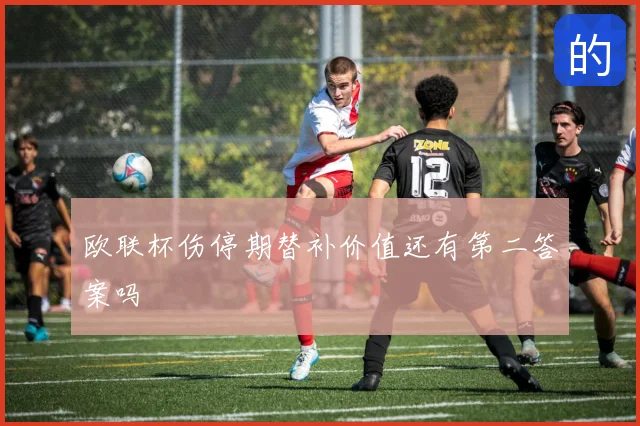 欧联杯伤停期替补价值还有第二答案吗